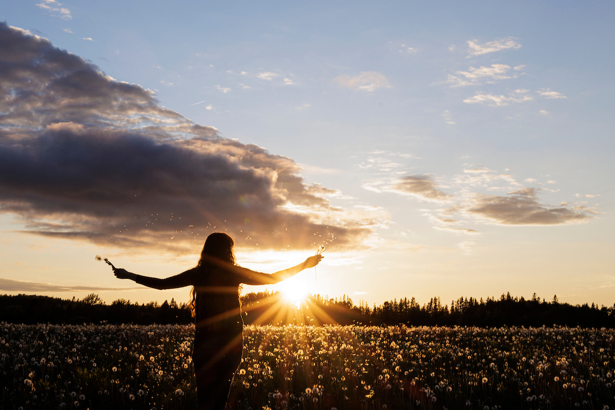 PEI Sunset in a field