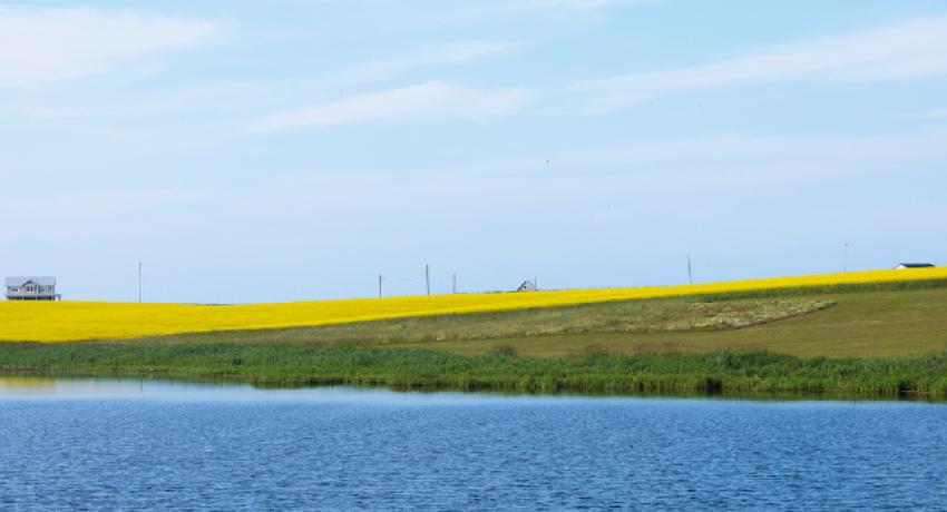 PEI Colour Spectrum